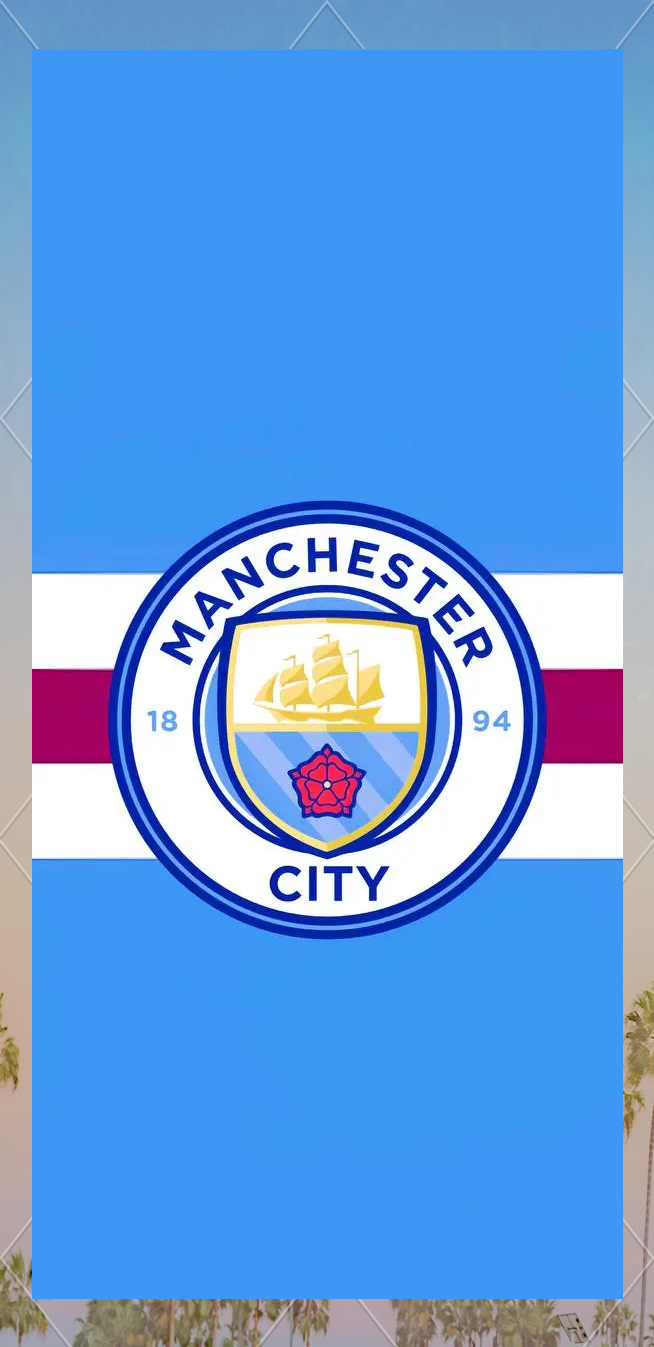 罗哥功劳薄仅差这么一项荣誉就大圆满，所以说的没任何问题